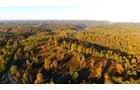 Property photo 25 - LAND AUCTION - 1,682+/- ACRES OFFERED IN 17 TRACTS IN LEWIS & GREENUP COUNTIES, KENTUCKY